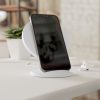 Divistrom Induction Charger